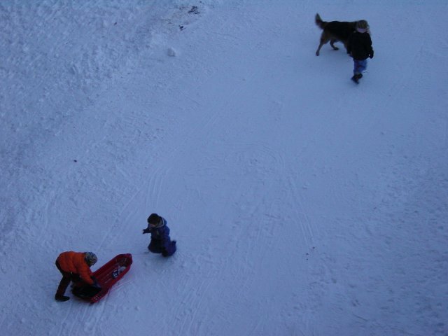 Enfants jouant dans la neige accompagnes d'un chien