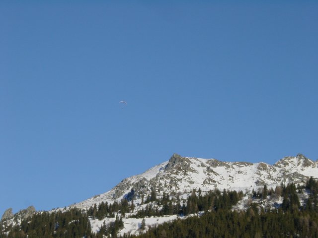 Parapente, foret, montagne