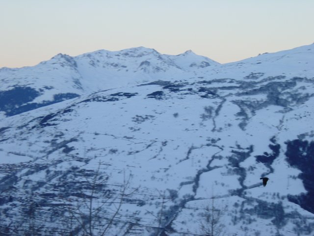Corbeau se detachant a peine sur le fond de neige: en bas a droite