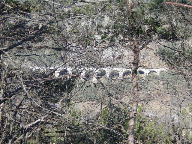 Pont vu a travers des branchages