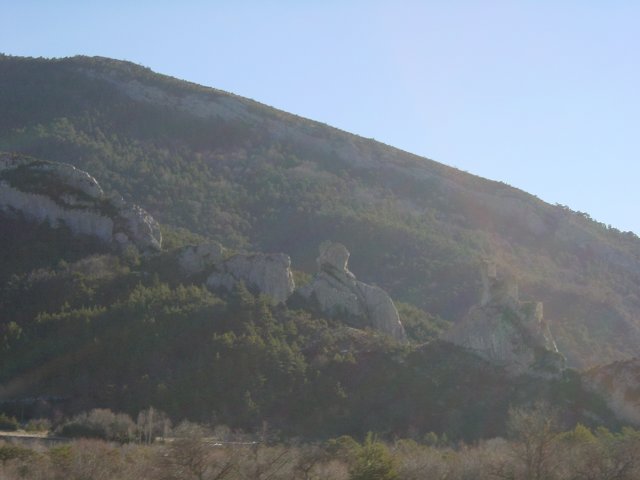 Flanc de montagne: rochers et arbres