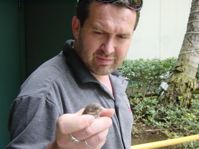 Daniel holding a wounded bird