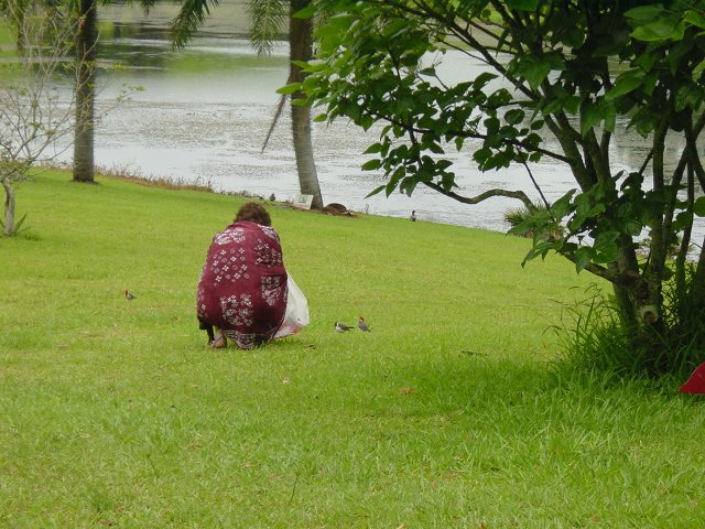 Marie-Claire watching birds closely