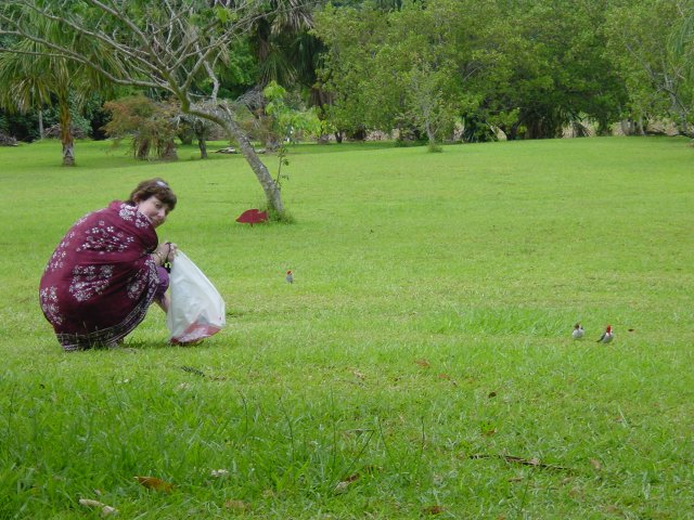 Marie-Claire watching birds closely