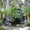 International Market Place, Daniel