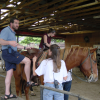 Daniel getting on the horse, step 1