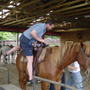 Daniel getting on the horse, step 2