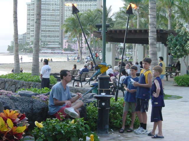Parrots and a group of kids