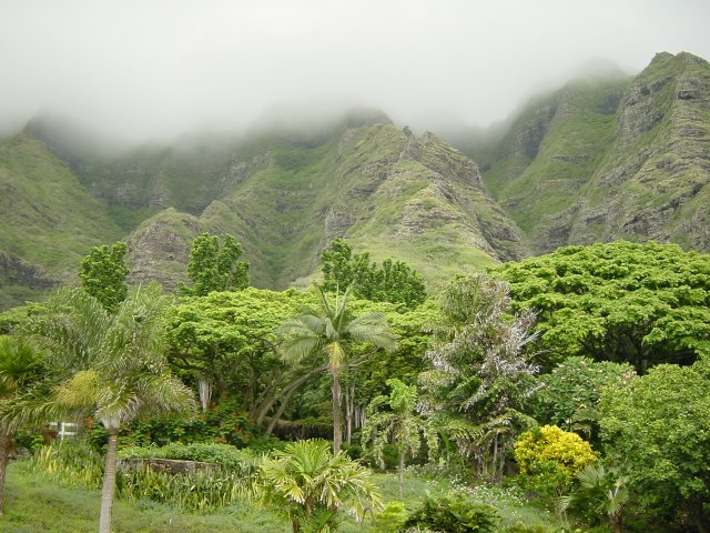 The mountain, clouds and trees below