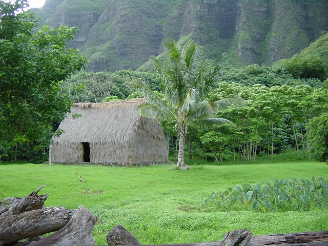Straw house built for filming purpose