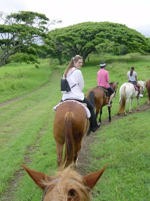 Daniel's horse's ears, Coralie, Olivier