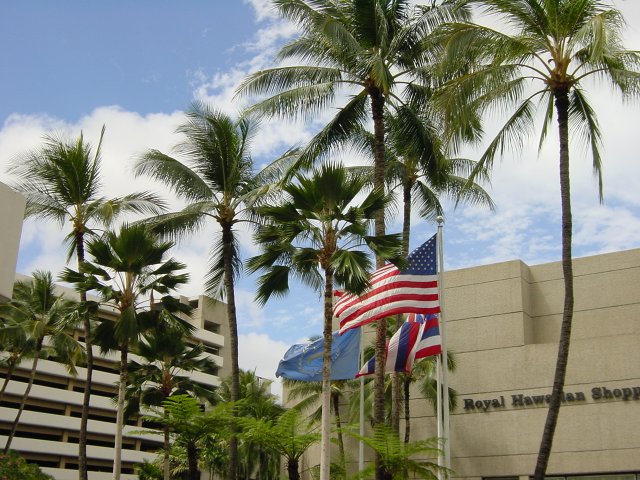 Blue sky over O'ahu: Palm trees, flags of the Sheraton, America and Hawaii