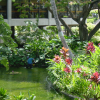 Gardener/Fisherman just outside Honolulu airport