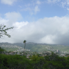 View on houses covered hills, blue sky, single palm tree