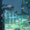 Fish in the mall aquarium