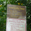 Maunawili Falls trail starts here