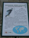 Panneau narratif du condor des andes