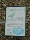 Panneau descriptif de l'aigle des steppes