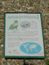 Panneau narratif de l'aigle bateleur