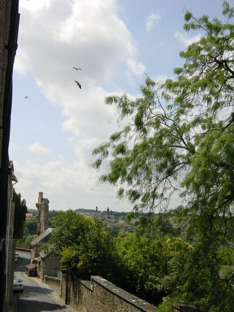 Rapaces en vol au dessus des ruines du chateau de Chauvigny