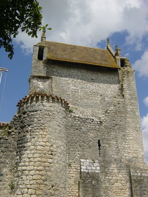 Chateau de Chauvigny