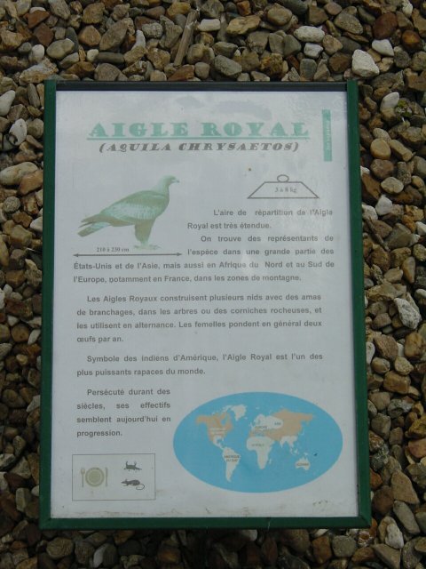 Panneau descriptif de l'aigle royal