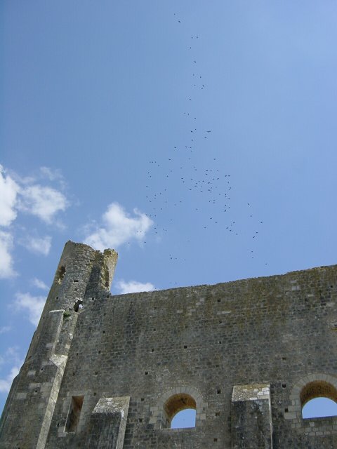Ruine du chateau et migration d'oiseaux au-dessus