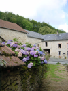 Hortensias, maison d'Andre Joyeux