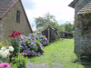 Fleurs d'Andre Joyeux