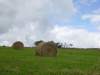 Meules de foin