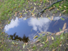 Feuillages, ciel et nuages se refletant dans une flaque
