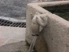Fontaine tete de belier