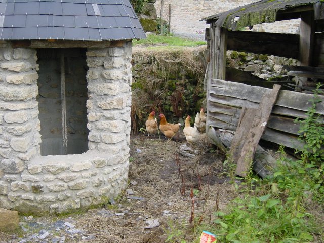 Puits, poules et abris a bois