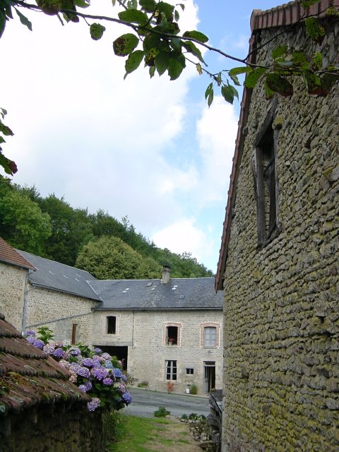 Hortensias, maison d'Andre Joyeux, mur de la grange