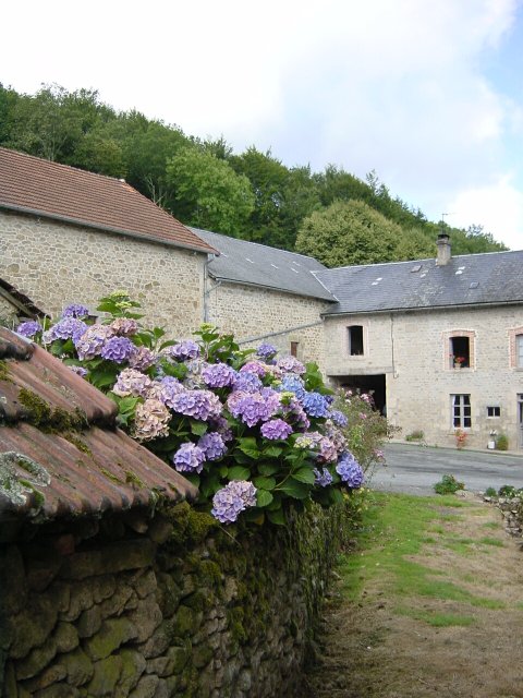 Hortensias, maison d'Andre Joyeux