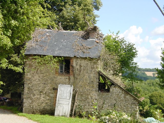 Maison abandonnee: branche d'arbre sortant par la cheminee