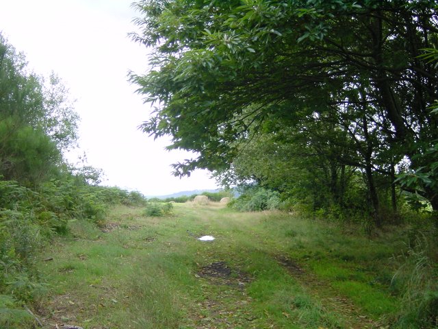 Chemin communal