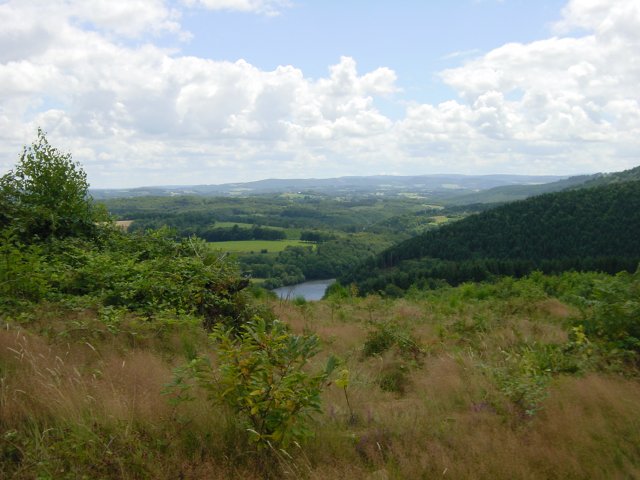 Vue sur un morceau du Thaurion, champ en friche, prairie et forets
