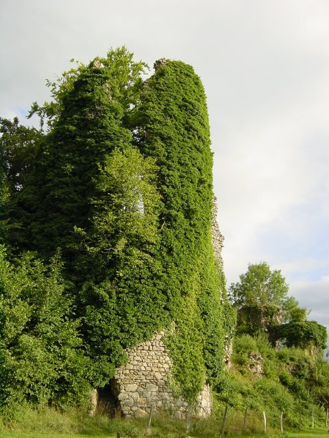 Ruine couverte de lierre au Monteil au Vicomte