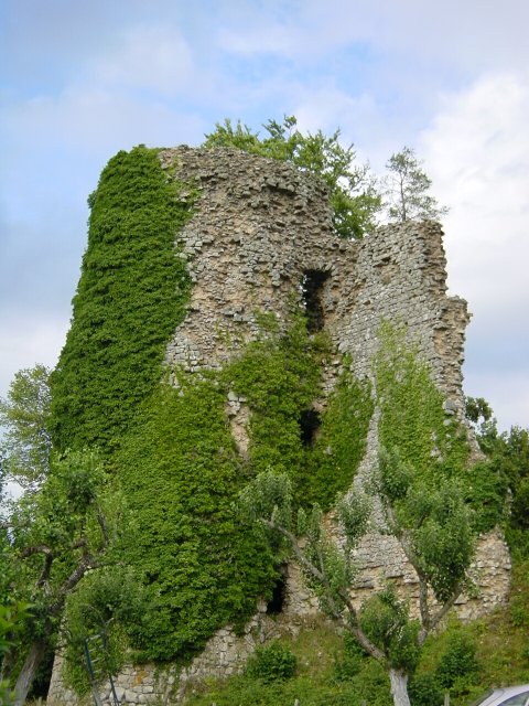Ruine couverte de lierre au Monteil au Vicomte