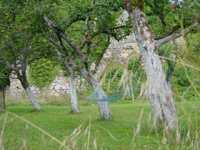 Hammac entre deux arbres