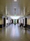 Hall with Bartok room on the left, Brahms rooms on the right and coffee breaks area in my back