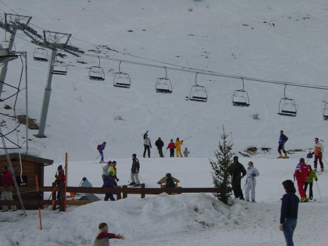 Pticul finit la descente a ski