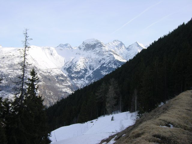 Vue sur la foret et les montagnes enneigees