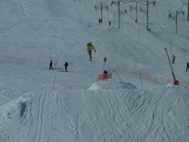 Saut