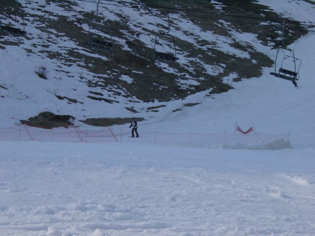 Pticul revient d'etre alle' patinettiser