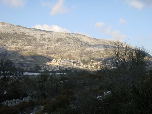 Coursegoule