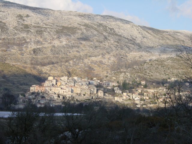 Coursegoule