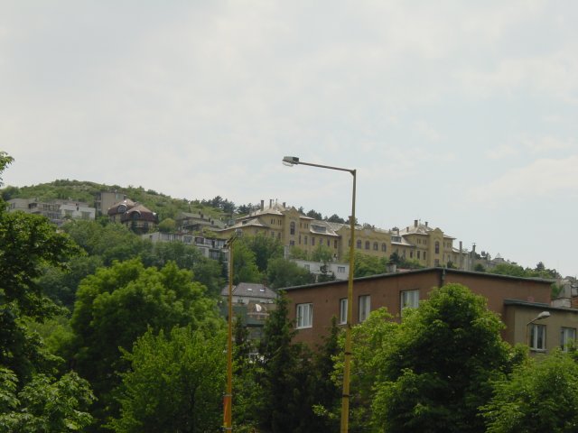 Houses on the hill