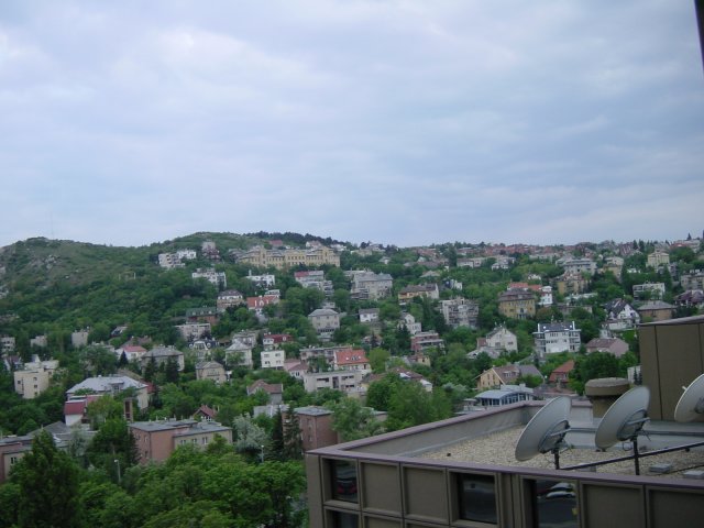 View from my room